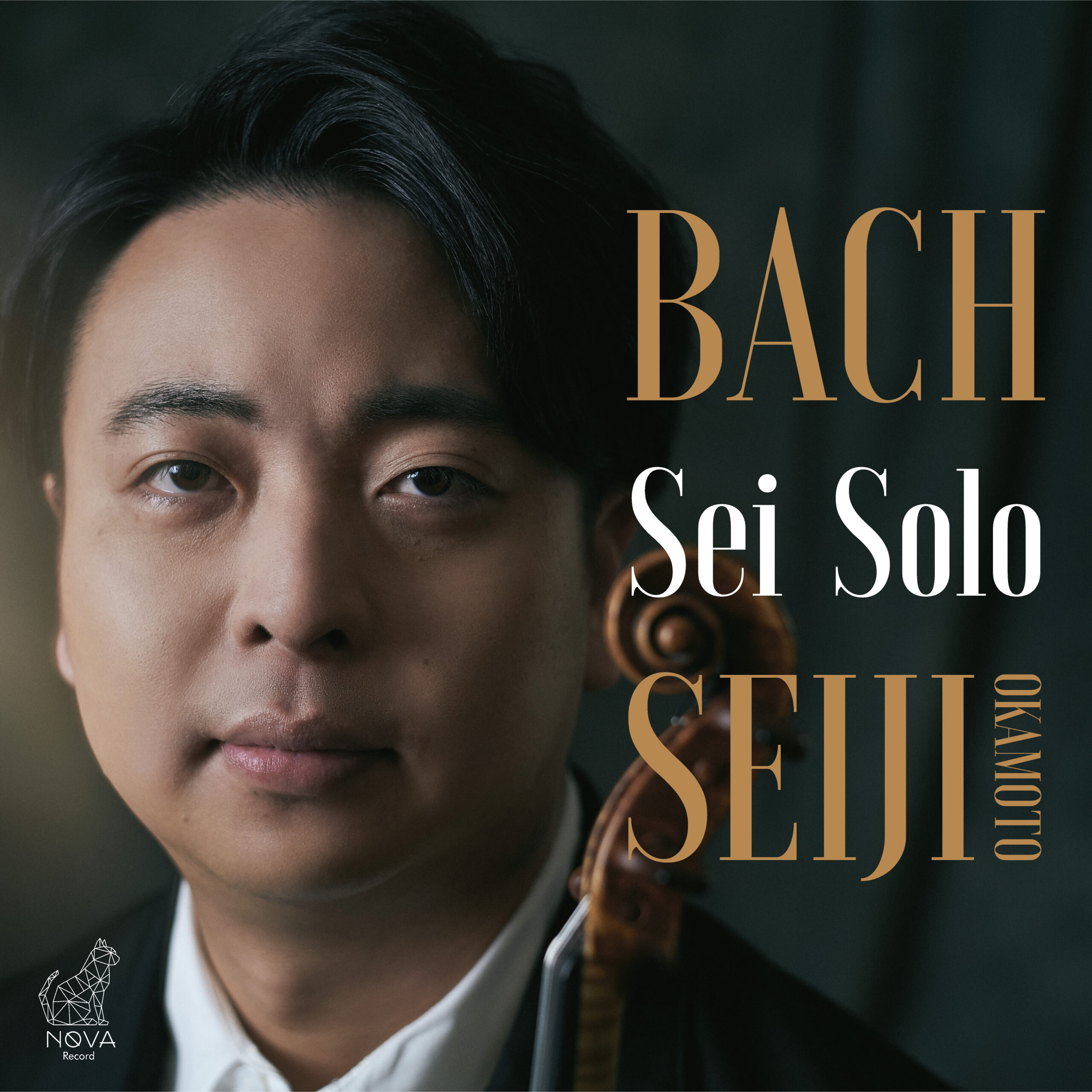Sei Solo